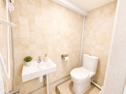 Dunearn Road (D11), Condominium #570905861